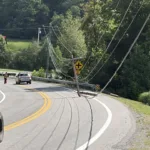 Clipped Pole Upright in the Road